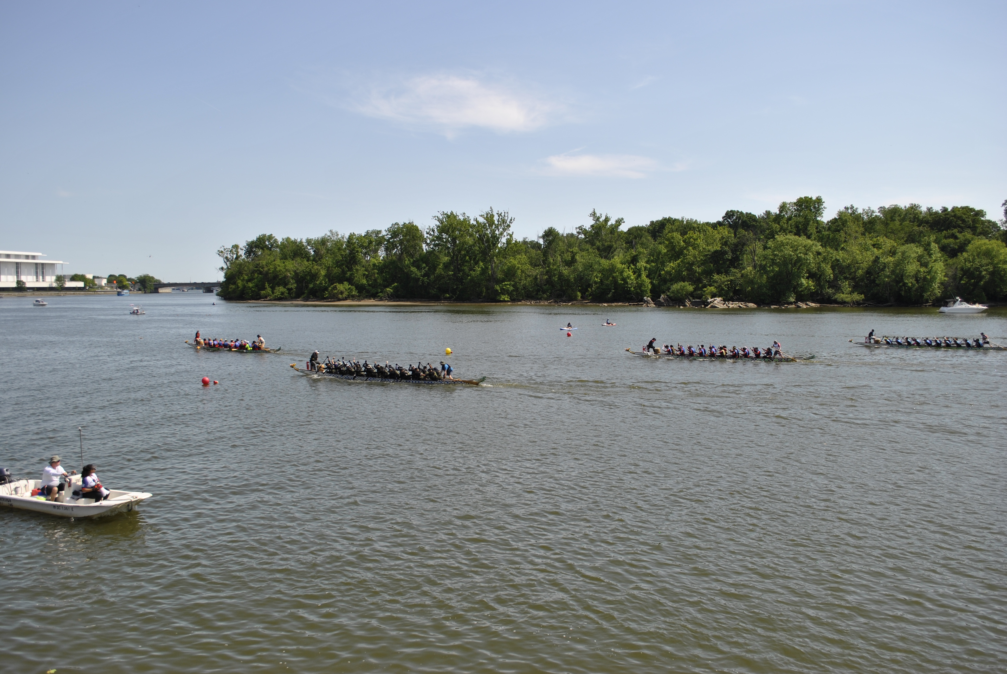 DC Dragon Boat Festival at Georgetown Waterfront Park